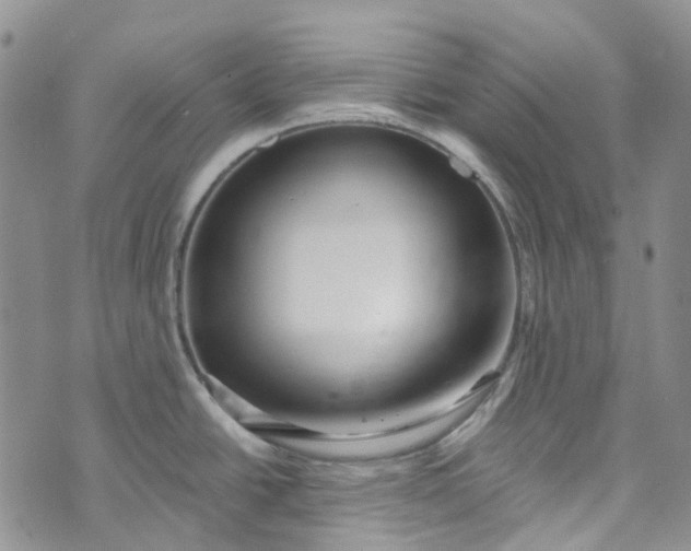 X0000072991438200608041257