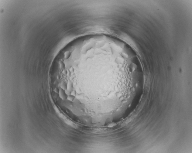 X0000072991439200608041257