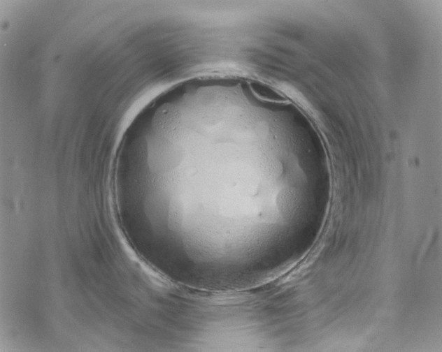 X0000072991440200608041257