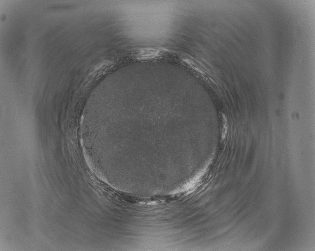 X0000072991441200608041256