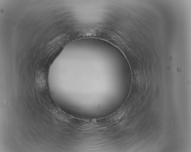 X0000072991442200608041256