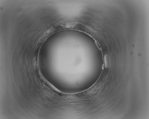 X0000072991443200608041256