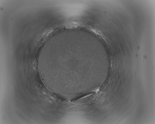 X0000072991445200608041256