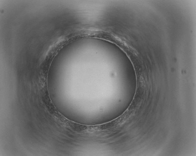 X0000072991447200608041256