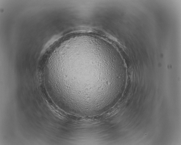 X0000072991448200608041256