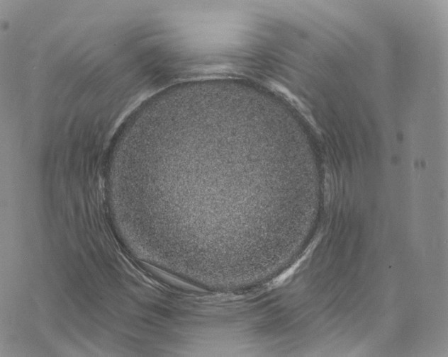 X0000072991449200608041256