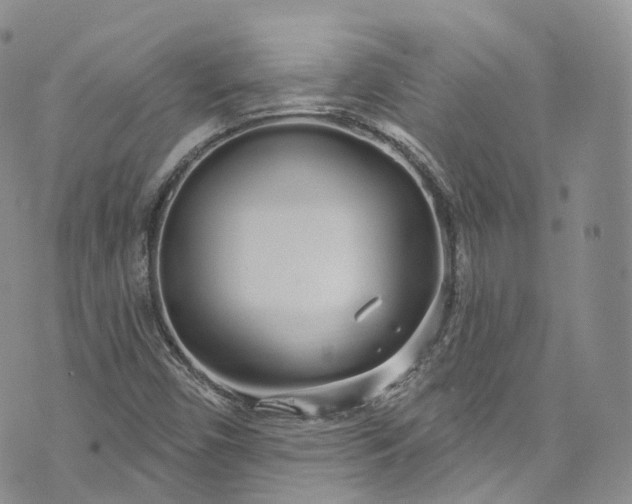 X0000072991450200608041256