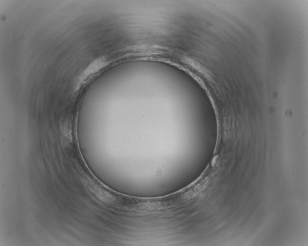 X0000072991451200608041256