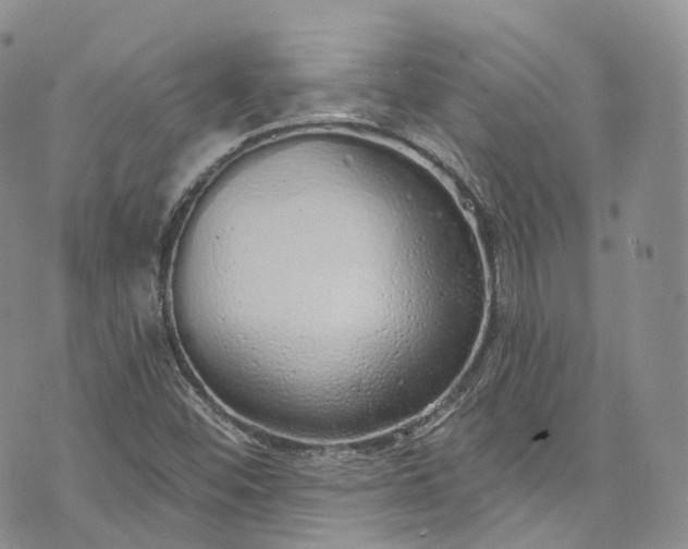 X0000072991452200608041256