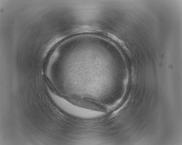 X0000072991453200608041256