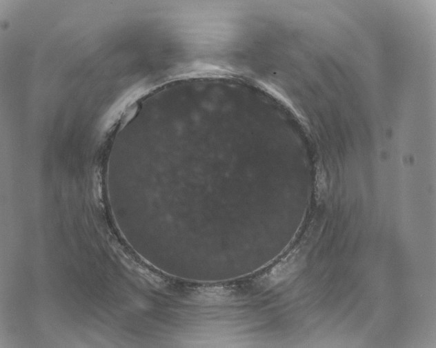 X0000072991455200608041256