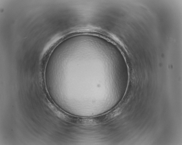 X0000072991456200608041256