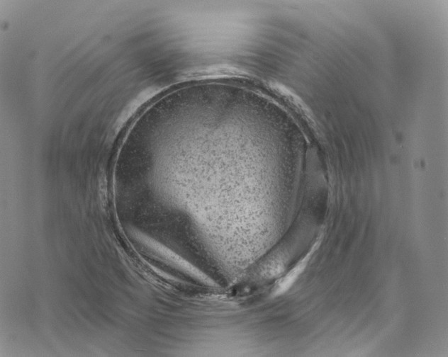 X0000072991457200608041256