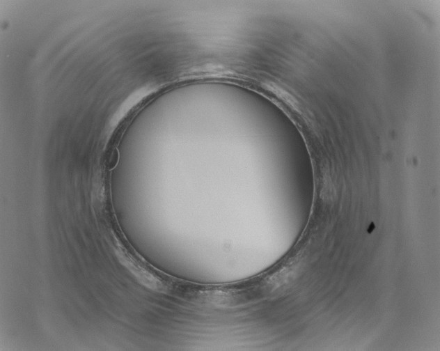 X0000072991458200608041256