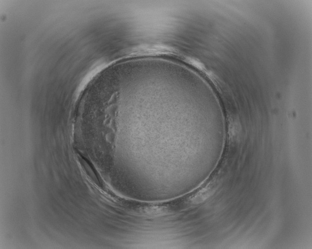 X0000072991459200608041256