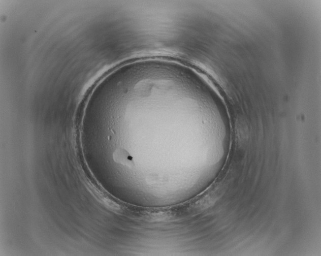 X0000072991460200608041256