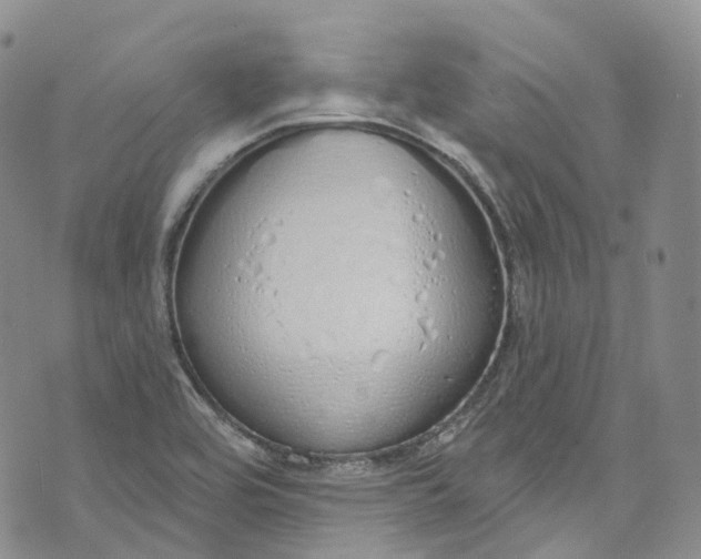 X0000072991464200608041256