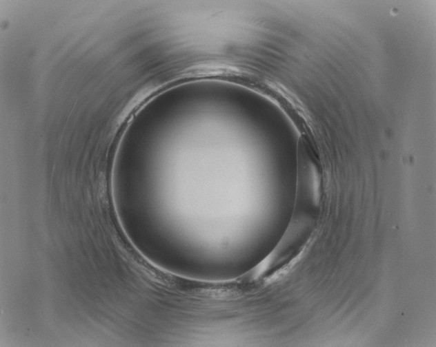 X0000072991465200608041256