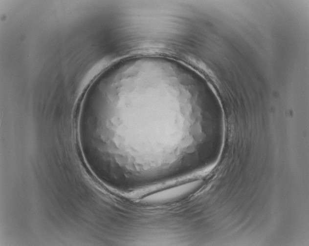 X0000072991467200608041256