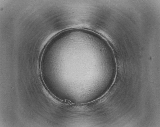 X0000072991468200608041256