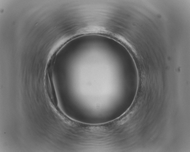 X0000072991469200608041256