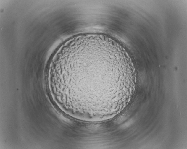 X0000072991470200608041256