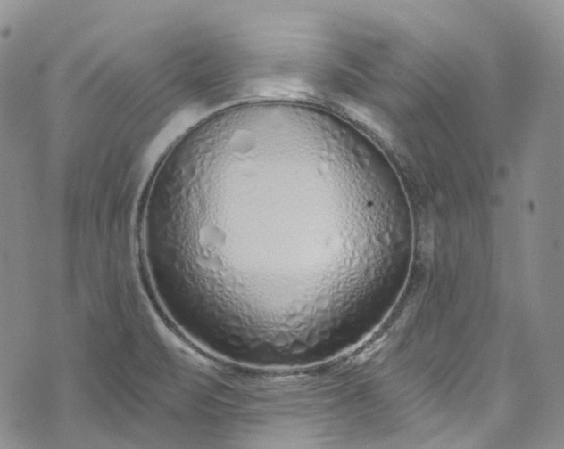 X0000072991471200608041256