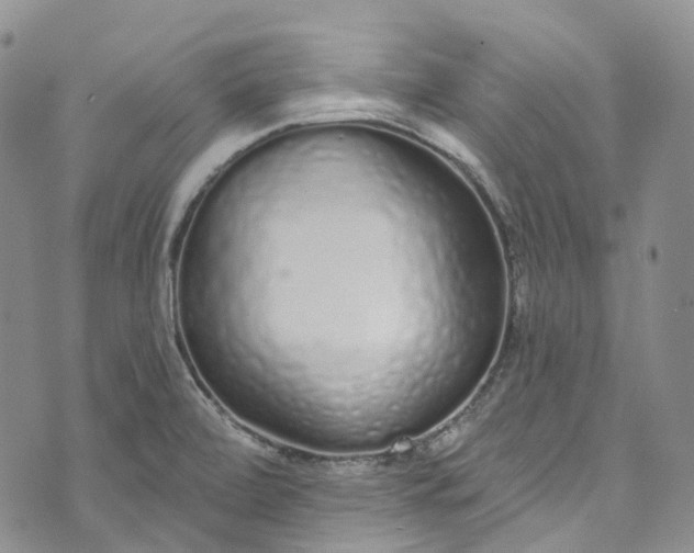 X0000072991472200608041256