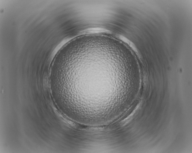 X0000072991473200608041256