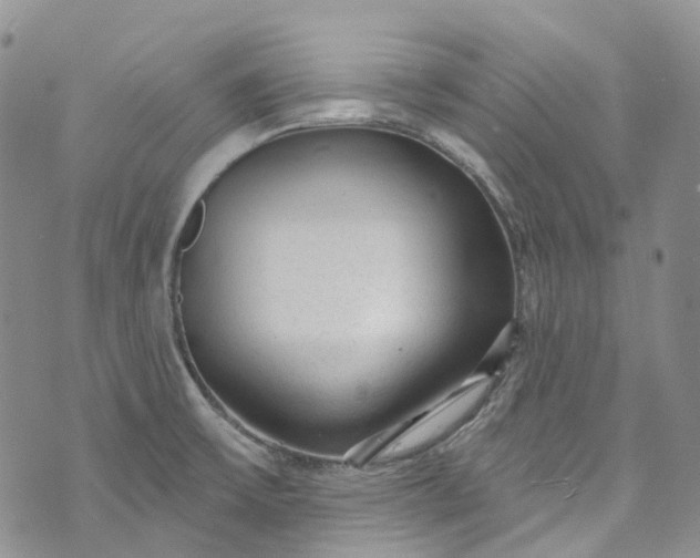 X0000072991475200608041256