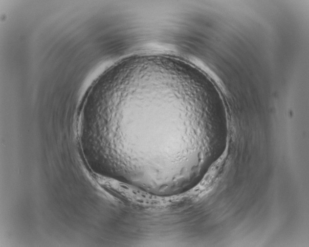 X0000072991477200608041256