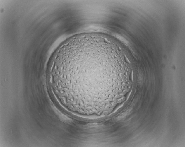 X0000072991478200608041256