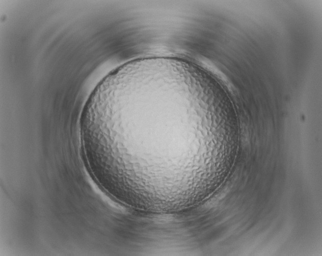 X0000072991479200608041256