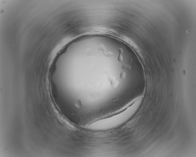 X0000072991480200608041256