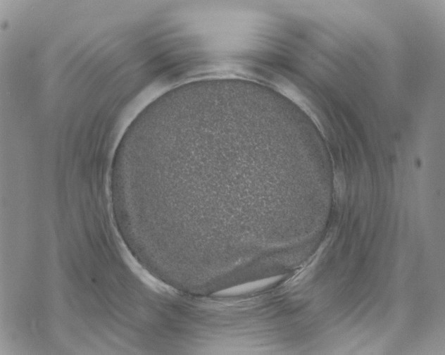 X0000072991482200608041256