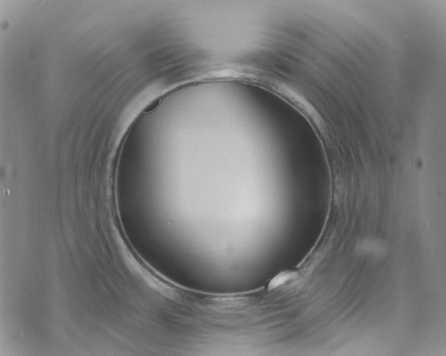 X0000072991483200608041255