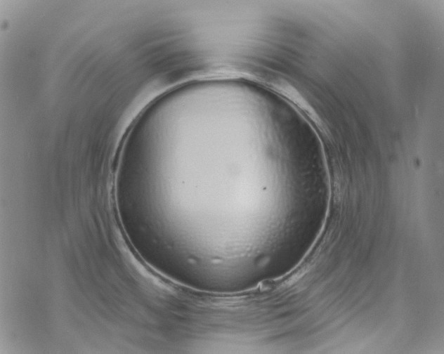 X0000072991484200608041255