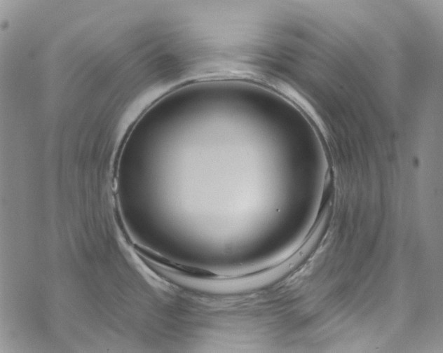 X0000072991485200608041255