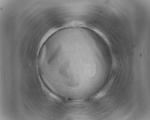 X0000072991486200608041255