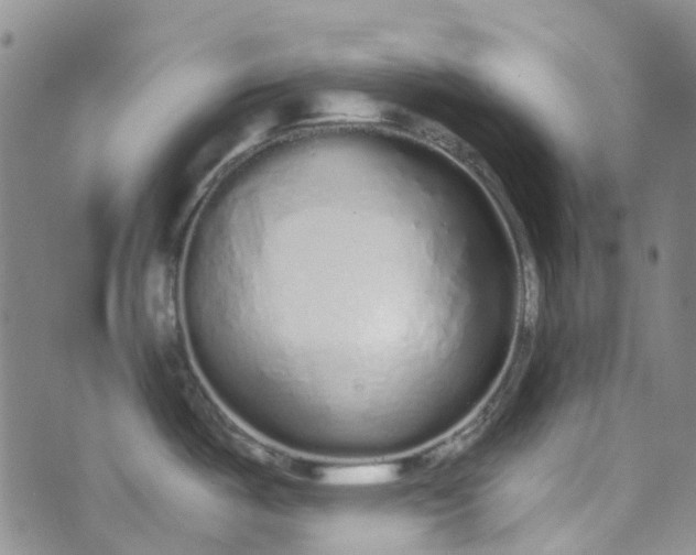 X0000072991487200608041255