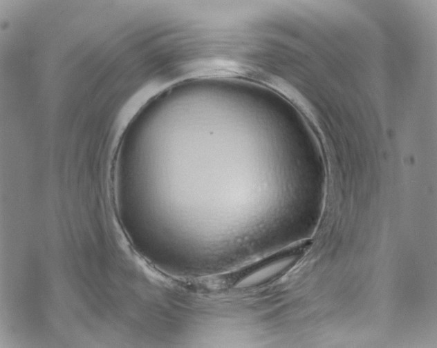 X0000072991488200608041255