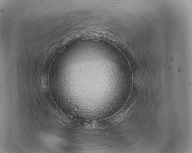 X0000072991490200608041255