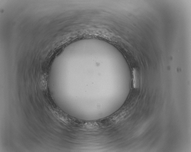 X0000072991491200608041255