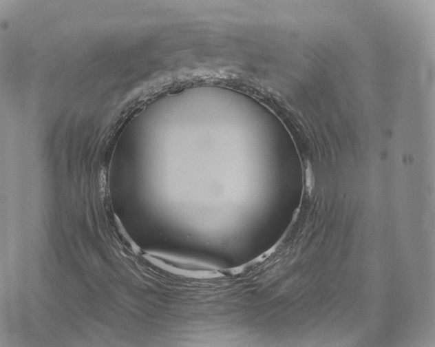 X0000072991492200608041255