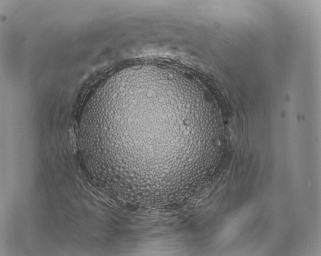 X0000072991493200608041255