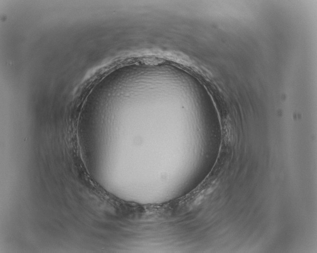 X0000072991494200608041255