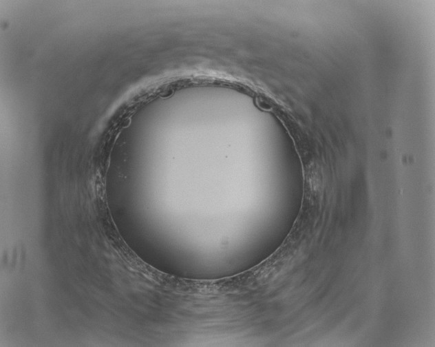 X0000072991495200608041255