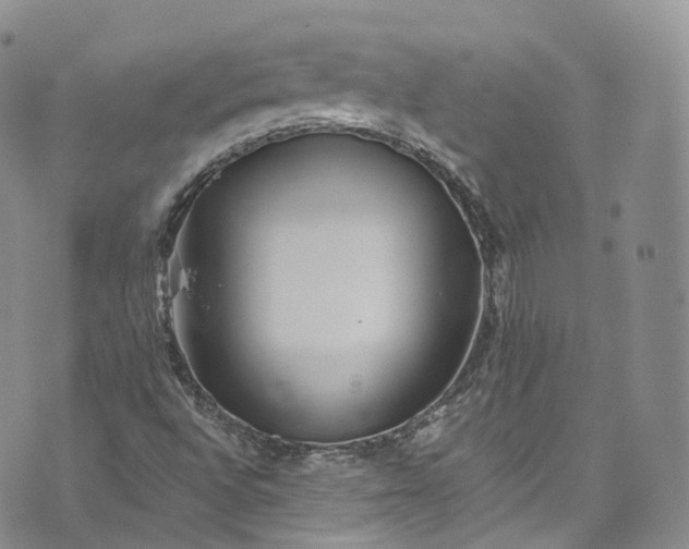 X0000072991496200608041255