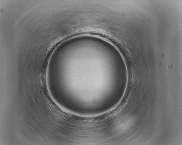 X0000072991497200608041255