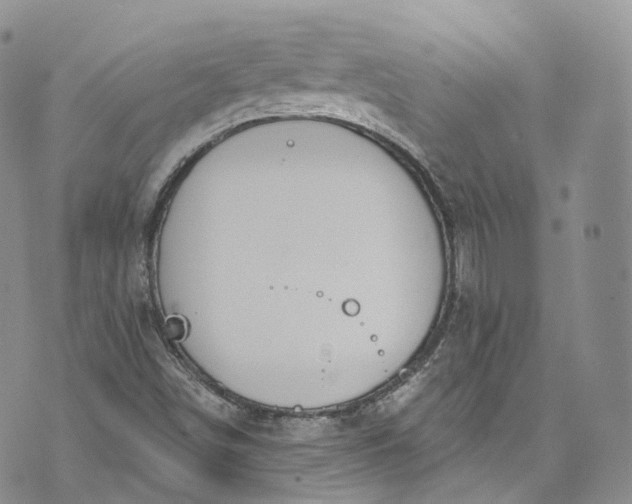 X0000072991498200608041255